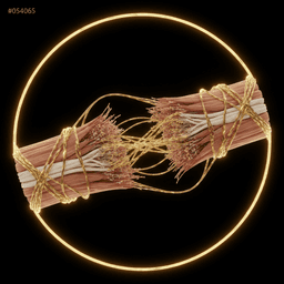 Recovery icon